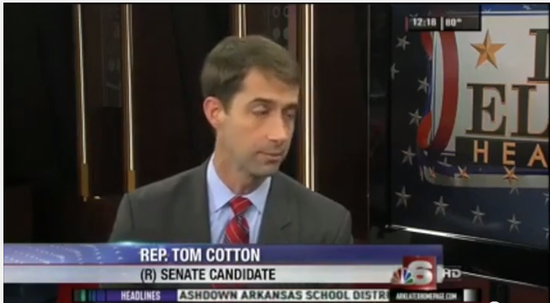 Screenshot from KARK News of Tom Cotton being interviewed