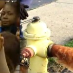 Flint lead poisoning water