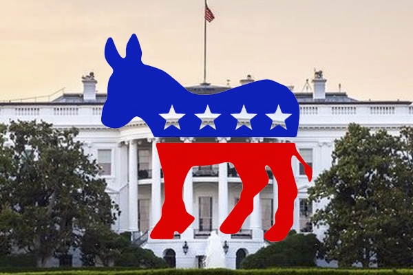 What the Democrats Need to Do to Win Back the White House